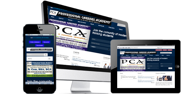 Professional Careers Academy